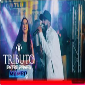 Tributo Entre Panas Mambo Mix