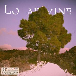 Lo Adiviné