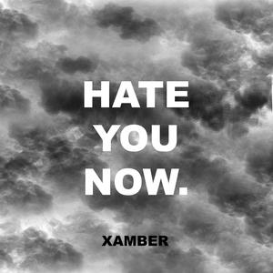 Hate You Now