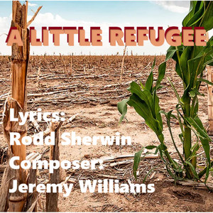 A Little Refugee