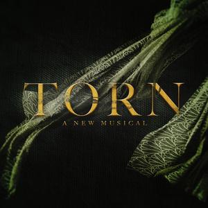 Torn A New Musical