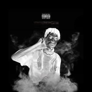 Rockstar Lifestyle (feat. Scottiervetmentsx) (Explicit)