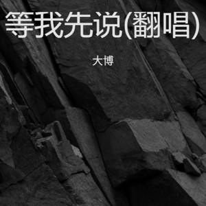 等我先说