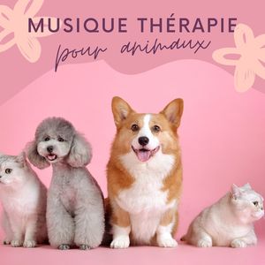 Musique thérapie pour animaux: Chansons pour déstresser nos animaux de compagnie, musique calmante