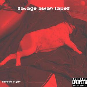 Savage Aidan Tapes (Explicit)