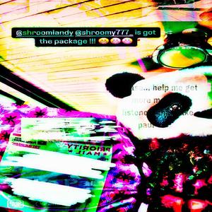 Shrooms Were My 3rd True Love (feat. len333 & so so) (Explicit)