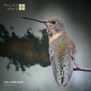 Colibri (Original Mix)