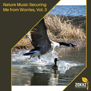 Nature Music Securing Me from Worries, Vol. 3