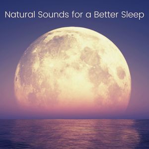 Deep Sleep Meditation