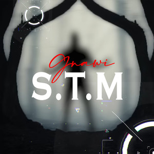 S.T.M