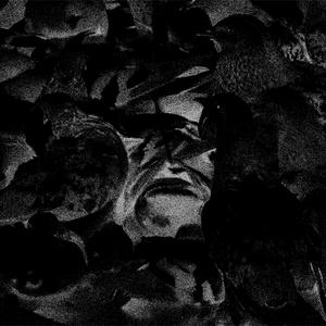 Dirty Pigeon (feat. Forseiken) (Explicit)