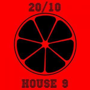 20/10 House, Vol. 9