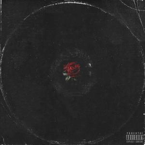 Melanin Rose. (feat. CamQuarter) [Explicit]