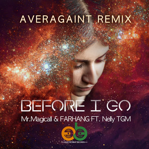 Before I Go (Averagaint Radio Remix)