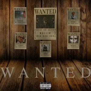 WANTED (Explicit)