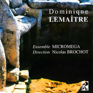 Dominique Lemaître