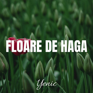 Floare De Haga