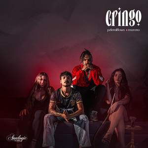 Gringo (Explicit)