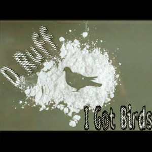 I Got Birds (Explicit)