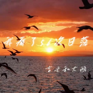 我看了56次日落