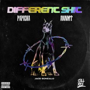 Different **** (feat. Papicha) [Explicit]