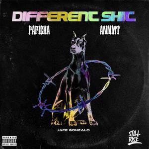 Different ***(feat. Papicha) (Explicit)