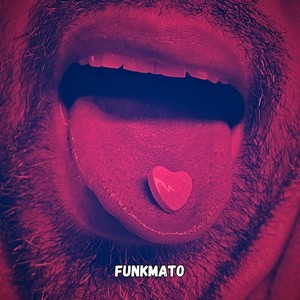 Funkmato