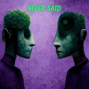 Never Said (Explicit)