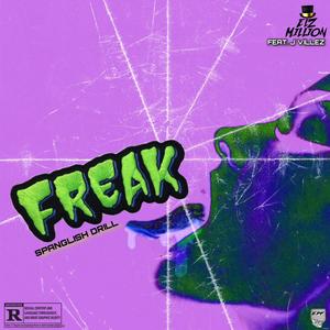 Freak (feat. J Villez) [Explicit]