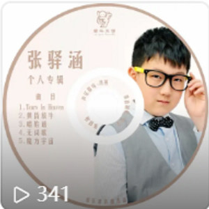唱脸谱封面