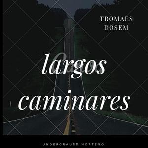 largos caminares (Explicit)