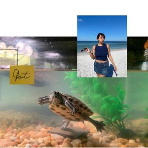 Da booty song(feat. Clarissa Granados)