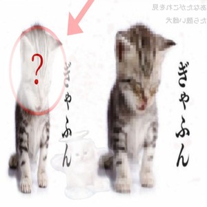 me conoce demasiado bien (Explicit)