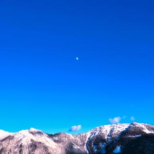 dælight in the shade