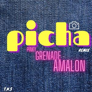 picha (feat. Grenade & Amalon)