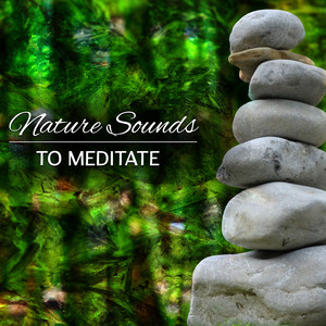 Soft Meditate
