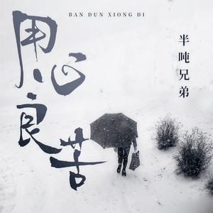 用心良苦 (DJ九零版)