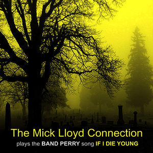 The Mick Lloyd Connection Plays the Band Perry Song