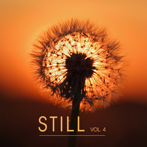 Still Vol. 4