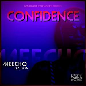 Confidence (Explicit)