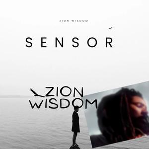 Sensor