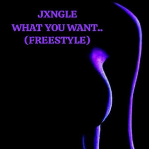 What You Want Freestyle (Explicit)