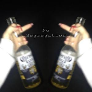 No Segregation (Explicit)