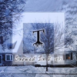 Snowed In XII (Nocturne)