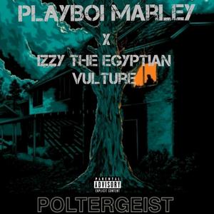 Poltergeist (feat. Izzy the Egyptian Vulture) [Explicit]