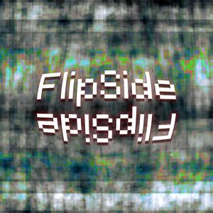 Flipside