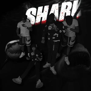 Sharkin (feat. Bugg Muneyy) (Explicit)