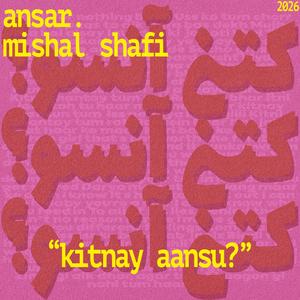 Kitnay Aansu (feat. Mishal Shafi)