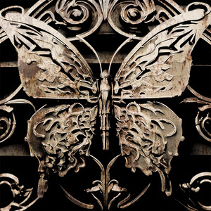 Iron Butterfly