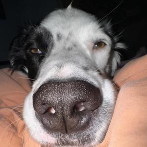 pardonme (feat. arkko) (Explicit)